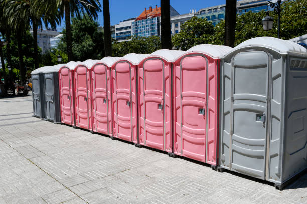 Best Portable Toilets for Parks and Recreation Areas  in Waynesburg, OH